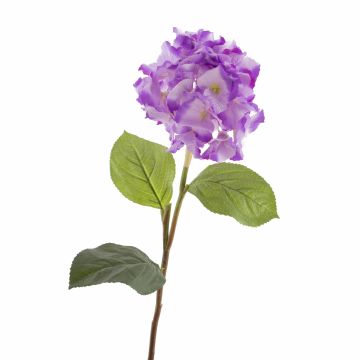 Hortensia artificial CHANTAL, púrpura, 75cm, Ø18cm