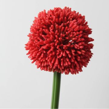 Allium artificial BEATRISA, rojo, 65cm, Ø10cm