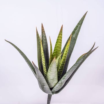 Planta artificial Aloe Variegata MARTINEZ con palo, verde, 30cm, Ø17cm