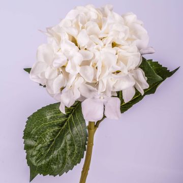 Hortensia artificial GABRIELLA, crema, 50cm, Ø18cm