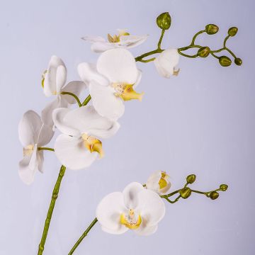 Rama decorativa de orquídea Phalaenopsis LAHNA, blanca, 95cm