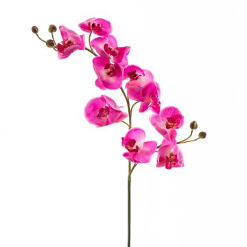 Rama de orquídea Phalaenopsis de plástico STINA, rosa, 90cm