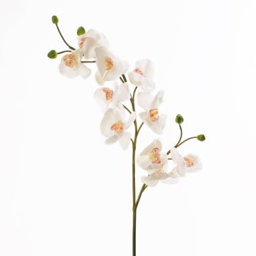 Rama de orquídea Phalaenopsis de plástico STINA, blanca, 90cm