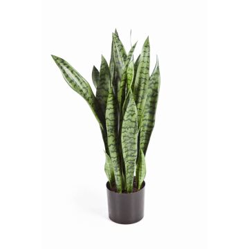 Sansevieria de plástico BEYZA, verde, 80cm