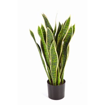 Sansevieria de plástico BEYZA, verde-amarillo, 80cm