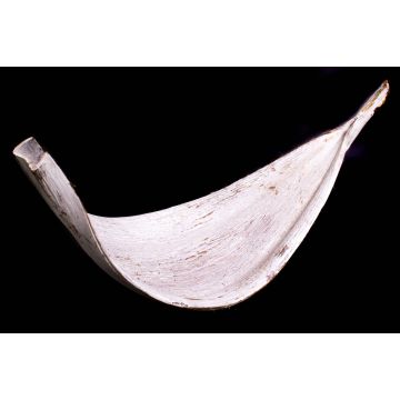 Hoja de galara XXL seca CHIPUNA, blanco encalada, 30-80cm