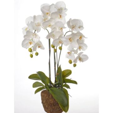 Falsa orquídea Phalaenopsis SATRIA con tierra, blanca, 75cm