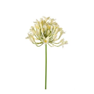 Agapanthus de plástico PHILINA, crema, 75cm, Ø14cm