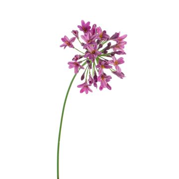 Agapanthus de plástico PHILINA, violeta, 75cm, Ø14cm