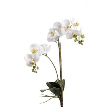 Orquídea Phalaenopsis artificial CANDIDA con palo, blanca, 65cm