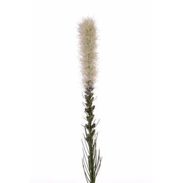 Liatris de plástico MITSA, crema, 80cm, Ø5cm