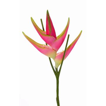 Flor de Heliconia de plástico TOMKE, rosa-verde, 80cm, Ø30cm