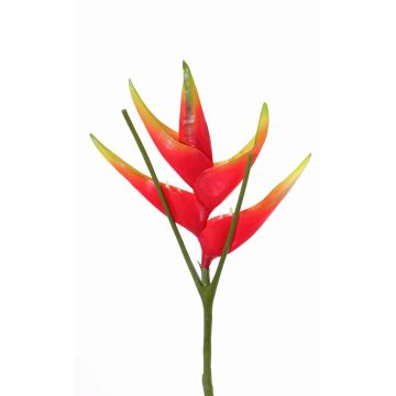 Flor de Heliconia de plástico TOMKE, rojo-verde, 80cm, Ø30cm