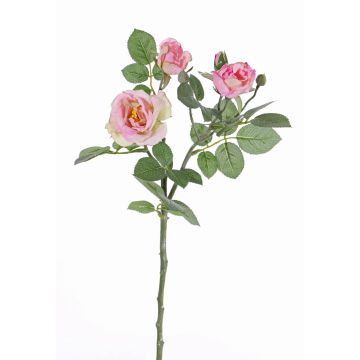 Rama de rosa de plástico CORALEE, rosa, 50cm, Ø3-7cm