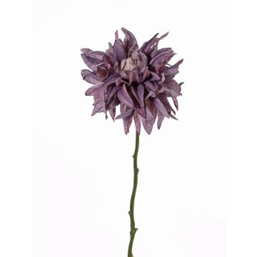 Dahlia falsa SMILA, violeta, 55cm, Ø12cm