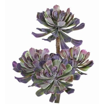 Aeonium de plástico ELOISE con palo, verde-violeta, 30cm, Ø20cm