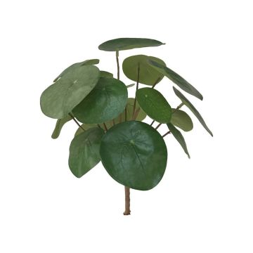 Planta china del dinero de plástico SYBIL con varilla, verde, 20cm