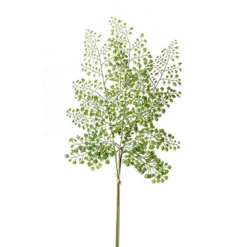 Rama de helecho artificial adiantum HALIMA, verde, 60cm