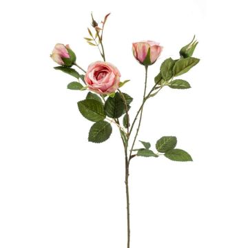 Rama de rosa de plástico SYLVANA, rosa, 60cm