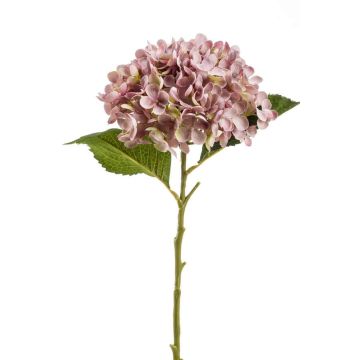 Hortensia de plástico EGIA, rosa, 50cm