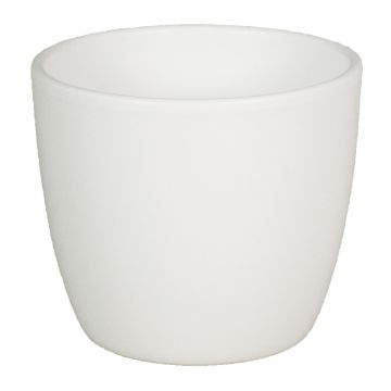 Maceta para plantas TEHERAN BASAR, cerámica, blanco-mate, 12cm, Ø13,5cm