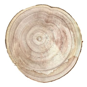 Rodaja de madera paulownia JESSALYN, natural, Ø38-40cm