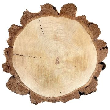 Rodaja de madera abedul MORGANIE, natural, Ø19-22cm