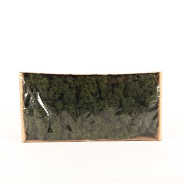 Musgo islandés natural SVEINBJÖRN, verde abeto, 500g